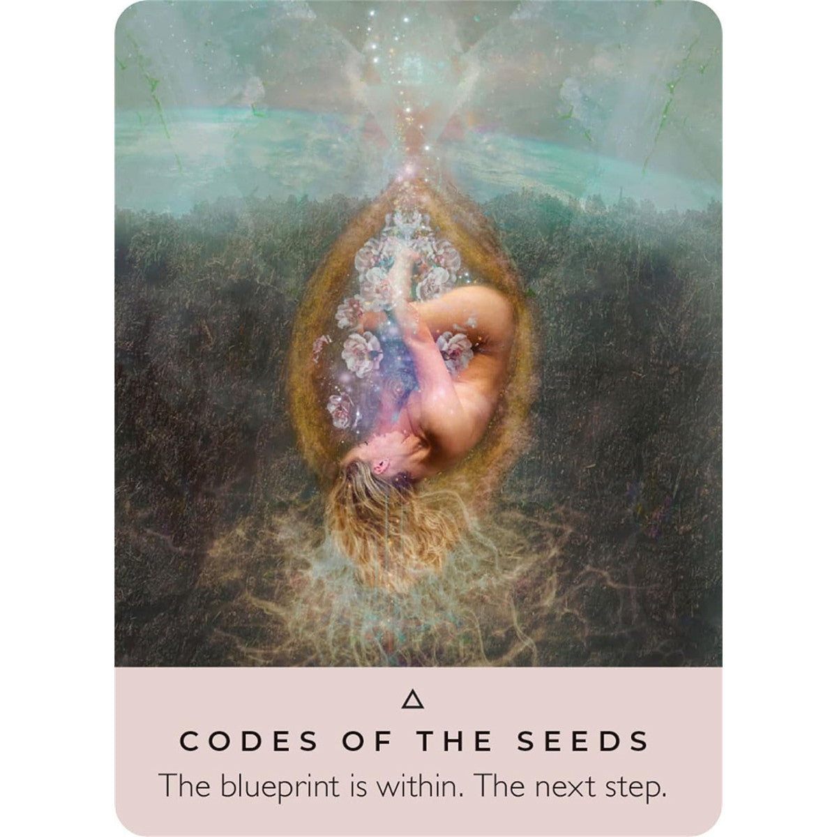 The Rose Pocket Oracle by Rebecca Campbell